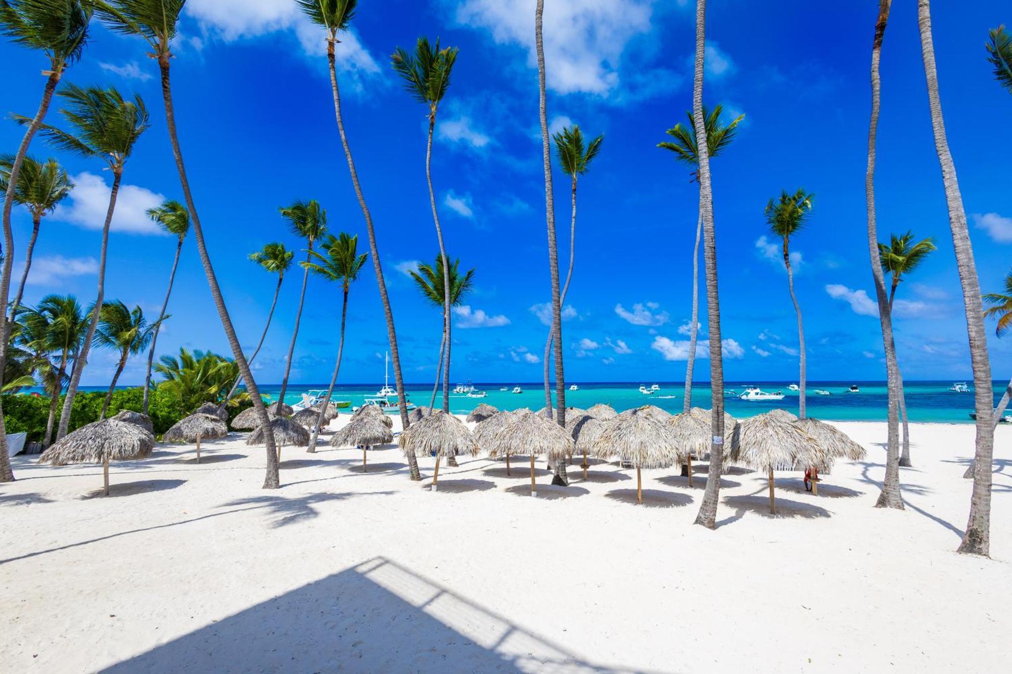 Prime Ocean View Punta Cana Apartments - 3-Bedroom Getaway With Private Terrace On Bavaro Beach Ngoại thất bức ảnh